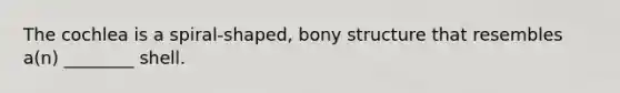 The cochlea is a spiral-shaped, bony structure that resembles a(n) ________ shell.