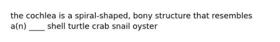 the cochlea is a spiral-shaped, bony structure that resembles a(n) ____ shell turtle crab snail oyster