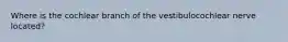 Where is the cochlear branch of the vestibulocochlear nerve located?