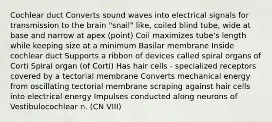 Cochlear duct Converts sound waves into electrical signals for transmission to <a href='https://www.questionai.com/knowledge/kLMtJeqKp6-the-brain' class='anchor-knowledge'>the brain</a> "snail" like, coiled blind tube, wide at base and narrow at apex (point) Coil maximizes tube's length while keeping size at a minimum Basilar membrane Inside cochlear duct Supports a ribbon of devices called spiral organs of Corti Spiral organ (of Corti) Has hair cells - specialized receptors covered by a tectorial membrane Converts mechanical energy from oscillating tectorial membrane scraping against hair cells into electrical energy Impulses conducted along neurons of Vestibulocochlear n. (CN VIII)