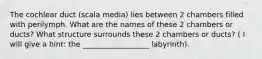 The cochlear duct (scala media) lies between 2 chambers filled with perilymph. What are the names of these 2 chambers or ducts? What structure surrounds these 2 chambers or ducts? ( I will give a hint: the __________________ labyrinth).