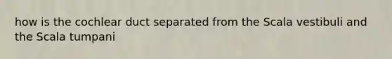how is the cochlear duct separated from the Scala vestibuli and the Scala tumpani