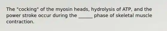 The "cocking" of the myosin heads, hydrolysis of ATP, and the power stroke occur during the ______ phase of skeletal <a href='https://www.questionai.com/knowledge/k0LBwLeEer-muscle-contraction' class='anchor-knowledge'>muscle contraction</a>.