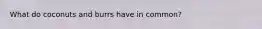 What do coconuts and burrs have in common?