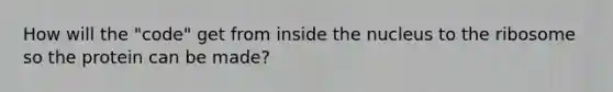 How will the "code" get from inside the nucleus to the ribosome so the protein can be made?