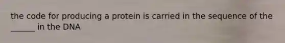 the code for producing a protein is carried in the sequence of the ______ in the DNA