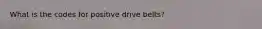 What is the codes for positive drive belts?