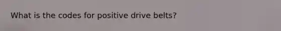 What is the codes for positive drive belts?