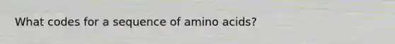 What codes for a sequence of amino acids?