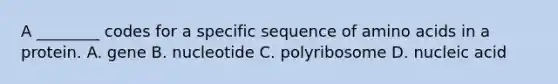 A ________ codes for a specific sequence of <a href='https://www.questionai.com/knowledge/k9gb720LCl-amino-acids' class='anchor-knowledge'>amino acids</a> in a protein. A. gene B. nucleotide C. polyribosome D. nucleic acid