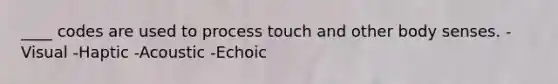 ____ codes are used to process touch and other body senses. -Visual -Haptic -Acoustic -Echoic