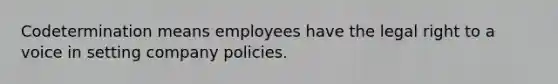 Codetermination means employees have the legal right to a voice in setting company policies.