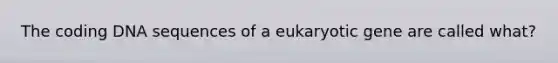 The coding DNA sequences of a eukaryotic gene are called what?