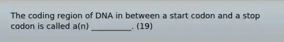 The coding region of DNA in between a start codon and a stop codon is called a(n) __________. (19)