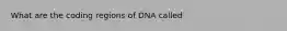 What are the coding regions of DNA called