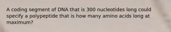 A coding segment of DNA that is 300 nucleotides long could specify a polypeptide that is how many amino acids long at maximum?