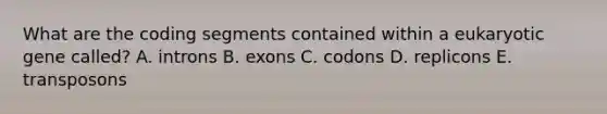 What are the coding segments contained within a eukaryotic gene called? A. introns B. exons C. codons D. replicons E. transposons