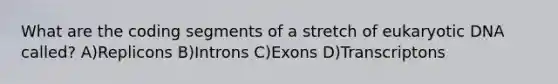 What are the coding segments of a stretch of eukaryotic DNA called? A)Replicons B)Introns C)Exons D)Transcriptons