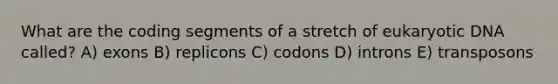 What are the coding segments of a stretch of eukaryotic DNA called? A) exons B) replicons C) codons D) introns E) transposons