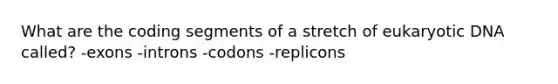 What are the coding segments of a stretch of eukaryotic DNA called? -exons -introns -codons -replicons