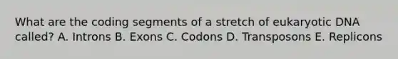 What are the coding segments of a stretch of eukaryotic DNA called? A. Introns B. Exons C. Codons D. Transposons E. Replicons