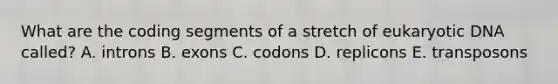 What are the coding segments of a stretch of eukaryotic DNA called? A. introns B. exons C. codons D. replicons E. transposons