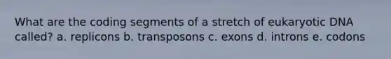 What are the coding segments of a stretch of eukaryotic DNA called? a. replicons b. transposons c. exons d. introns e. codons