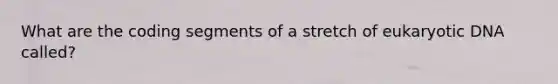 What are the coding segments of a stretch of eukaryotic DNA called?