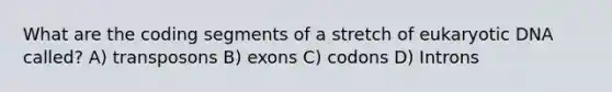 What are the coding segments of a stretch of eukaryotic DNA called? A) transposons B) exons C) codons D) Introns