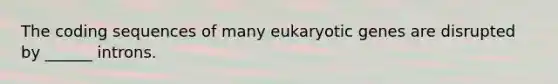 The coding sequences of many eukaryotic genes are disrupted by ______ introns.