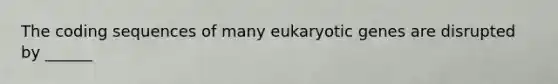 The coding sequences of many eukaryotic genes are disrupted by ______