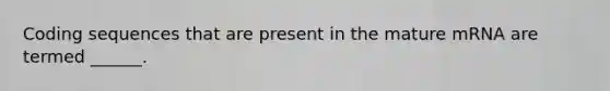 Coding sequences that are present in the mature mRNA are termed ______.