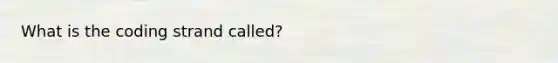 What is the coding strand called?