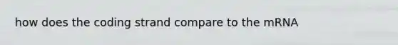 how does the coding strand compare to the mRNA