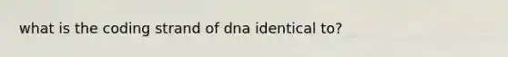 what is the coding strand of dna identical to?