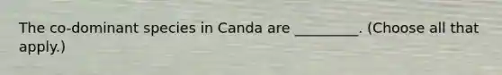 The co-dominant species in Canda are _________. (Choose all that apply.)