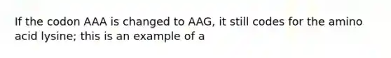 If the codon AAA is changed to AAG, it still codes for the amino acid lysine; this is an example of a