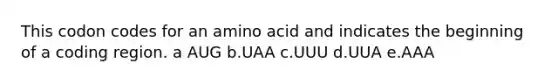 This codon codes for an amino acid and indicates the beginning of a coding region. a AUG b.UAA c.UUU d.UUA e.AAA