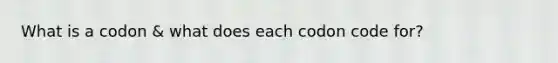 What is a codon & what does each codon code for?