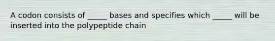 A codon consists of _____ bases and specifies which _____ will be inserted into the polypeptide chain