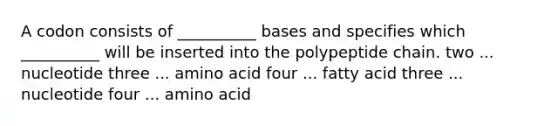 A codon consists of __________ bases and specifies which __________ will be inserted into the polypeptide chain. two ... nucleotide three ... amino acid four ... fatty acid three ... nucleotide four ... amino acid