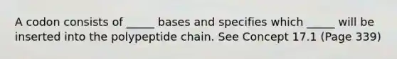 A codon consists of _____ bases and specifies which _____ will be inserted into the polypeptide chain. See Concept 17.1 (Page 339)