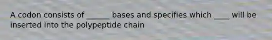 A codon consists of ______ bases and specifies which ____ will be inserted into the polypeptide chain