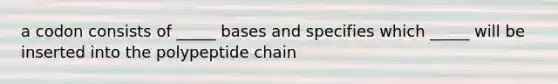 a codon consists of _____ bases and specifies which _____ will be inserted into the polypeptide chain