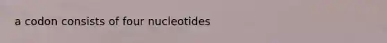 a codon consists of four nucleotides