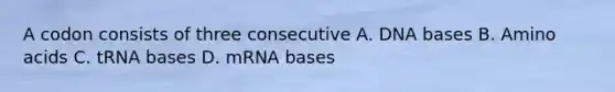 A codon consists of three consecutive A. DNA bases B. Amino acids C. tRNA bases D. mRNA bases