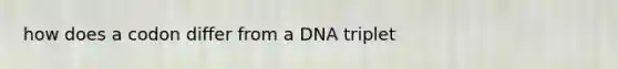 how does a codon differ from a DNA triplet