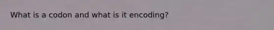 What is a codon and what is it encoding?