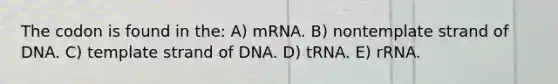 The codon is found in the: A) mRNA. B) nontemplate strand of DNA. C) template strand of DNA. D) tRNA. E) rRNA.