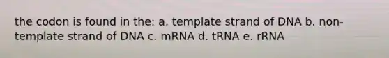 the codon is found in the: a. template strand of DNA b. non-template strand of DNA c. mRNA d. tRNA e. rRNA